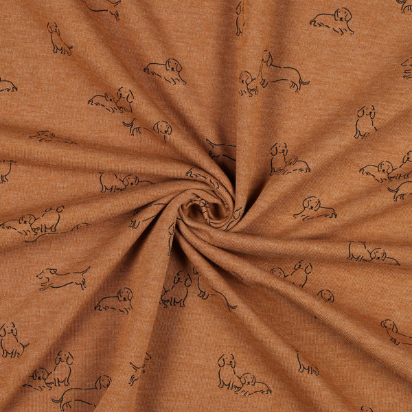 Sweat - " chiens teckels fond camel"- certifié oeko-tex (prix pour 10cm)