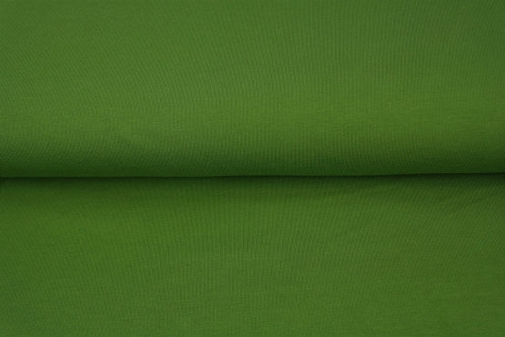Bord cote tubulaire vert S105 - Oeko-tex( prix par 10cm)