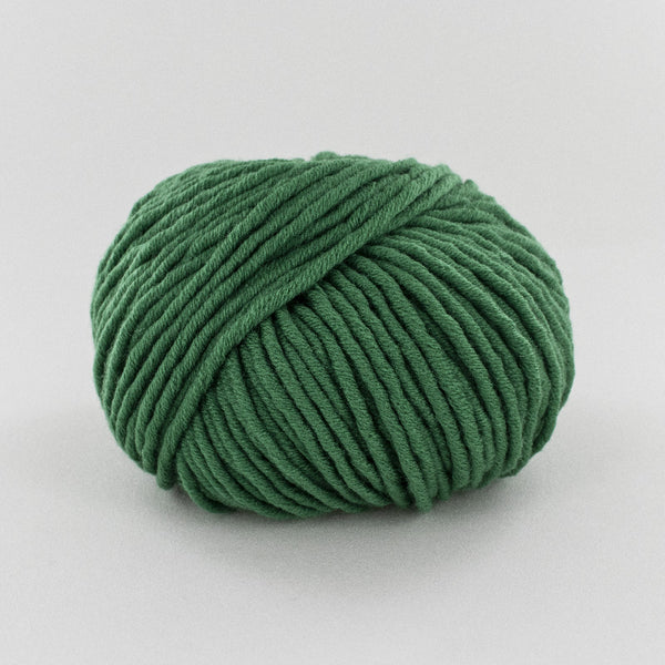 Fonty - Felletin - colori 915 - vert tropique (prix pour 1 pelote de 100g)