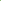 Popeline fine 100% coton "rétro flower vert" (prix pour 10cm)