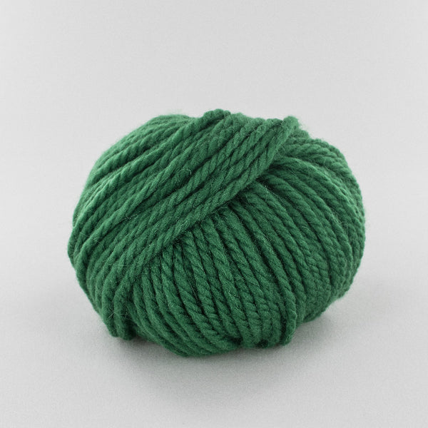 Fonty - Pole - colori 403 - vert tropique (prix pour 1 pelote - Alpaga/laine)