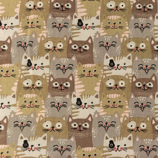 Coupon de 3m de popeline 100% coton "littles cats gris"