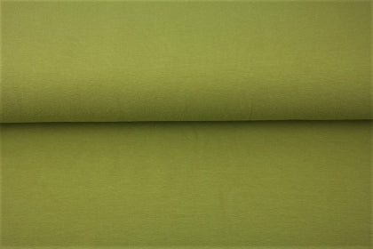 Bord cote tubulaire vert mousse S1010 - Oeko-tex( prix par 10cm)