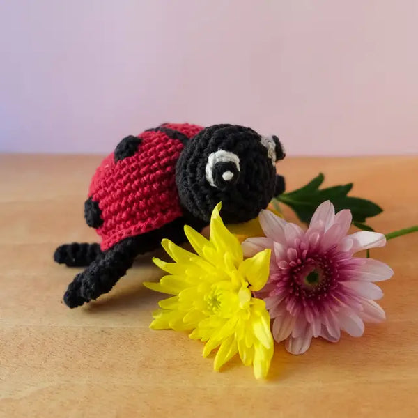 Kit Amigurumi Daisy la coccinelle - marque Hoooked (prix pour le set)